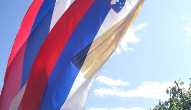 (TRIBUNA) Narodna zastava je slovenska, državna pa Republike Slovenije