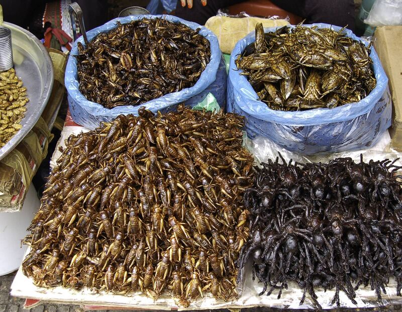 Insects for sale in the market of Phnom Penh, capital of Cambodia
