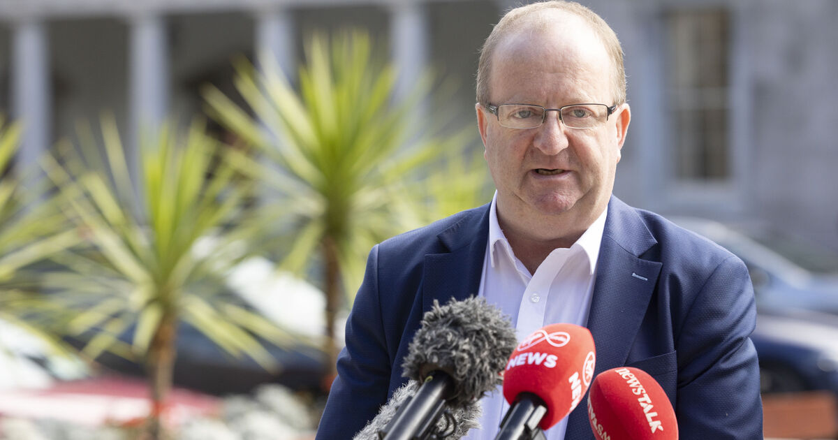 Fianna Fáil and Fine Gael used Independent Ireland as ‘bait’ in government talks, says Collins