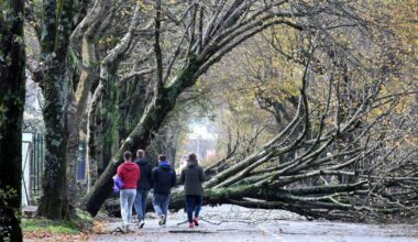Global warming increasing risk of severe weather events, Met Éireann warns