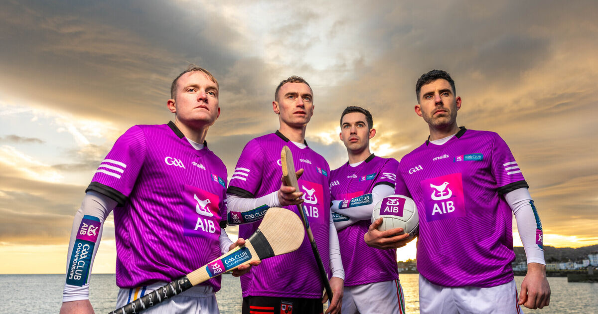 All-Ireland senior club finals, final pool games in Champions and Challenge Cup and Basketball finals