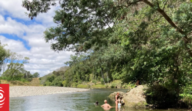 Environment expert warns dog owners, swimmers of Wairarapa river contamination