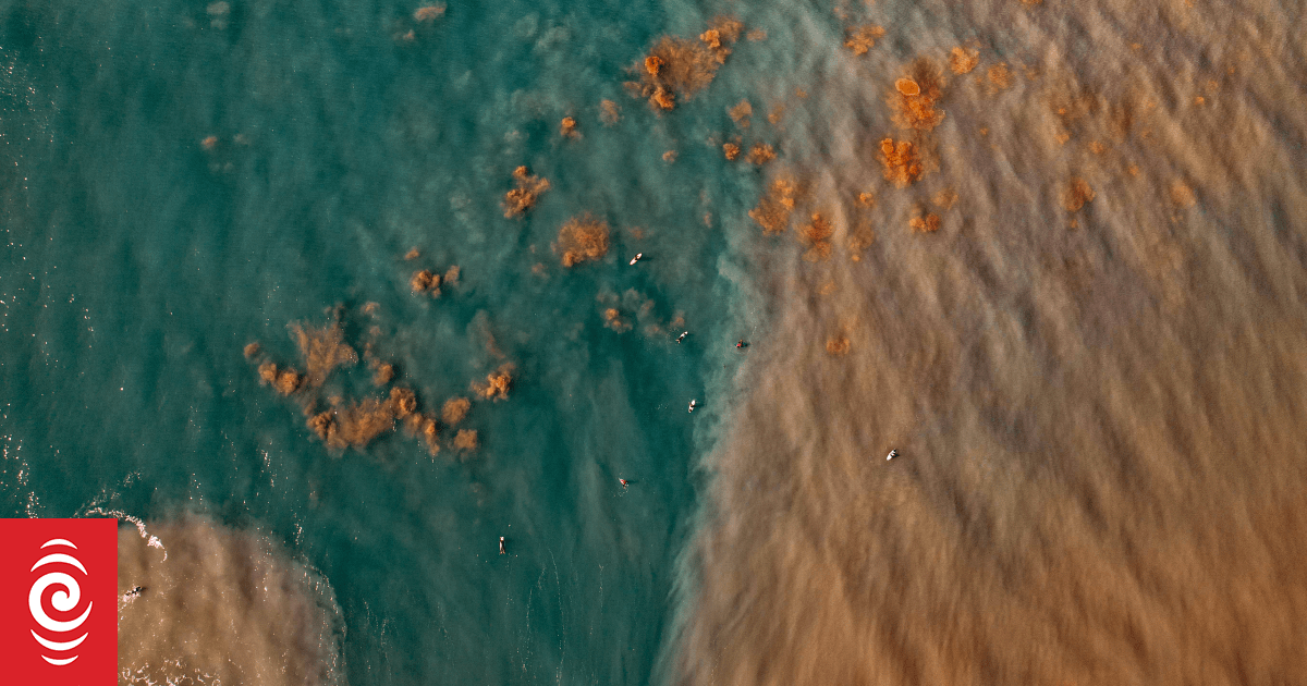 'Darkwaves': New research sheds light on underwater phenomenon