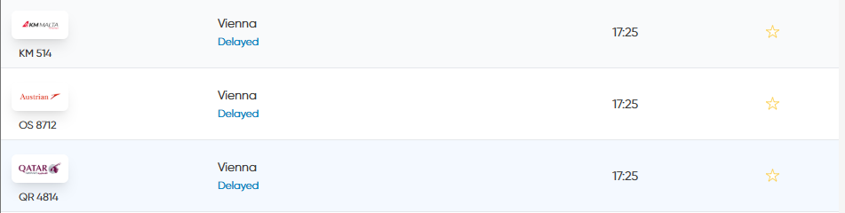 Flights departing from Vienna have been delayed due to intense weather conditions. Photo: Malta International Airport
