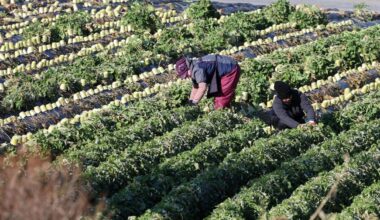 Gov't orders nationwide crackdown on labor exploitation of migrant workers