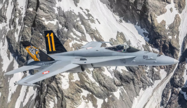 Les Suisses remportent le Tiger Meet 25 !