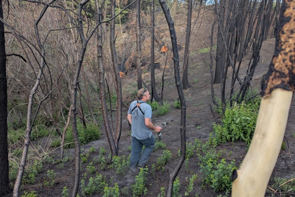 An Idaho bird research station rises from the ashes of a wildfire. The Valley Fire torched Lucky Peak in the fall of 2024. Bird researchers there are channeling their grief into a study of how avians respond to climate-driven blazes.