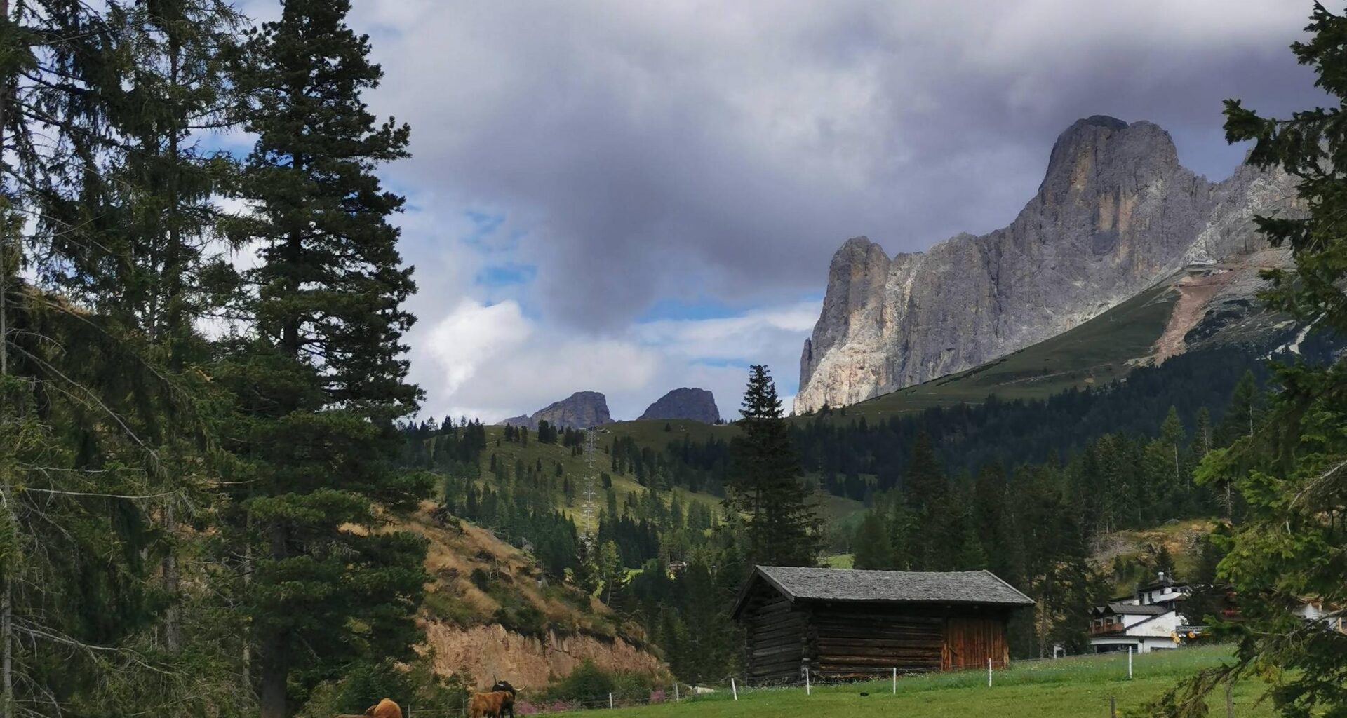 Caffè Italia * 01/01/26