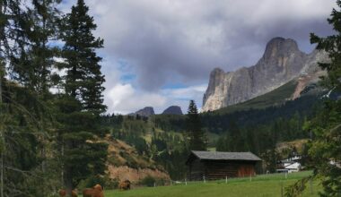 Caffè Italia * 01/01/26