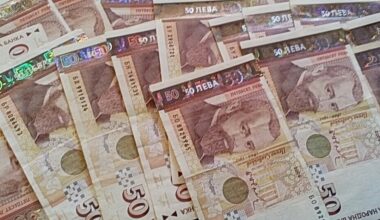 Bulgaria’s largest bank says 295 million leva in cash accepted at its branches in three days – The Sofia Globe