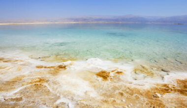Israeli scientists turn Dead Sea waste into building bricks