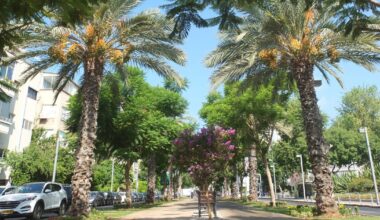 In 1925 Patrick Geddes Was Invited to Israel to Plan the First Hebrew City – What's Left of It Today?