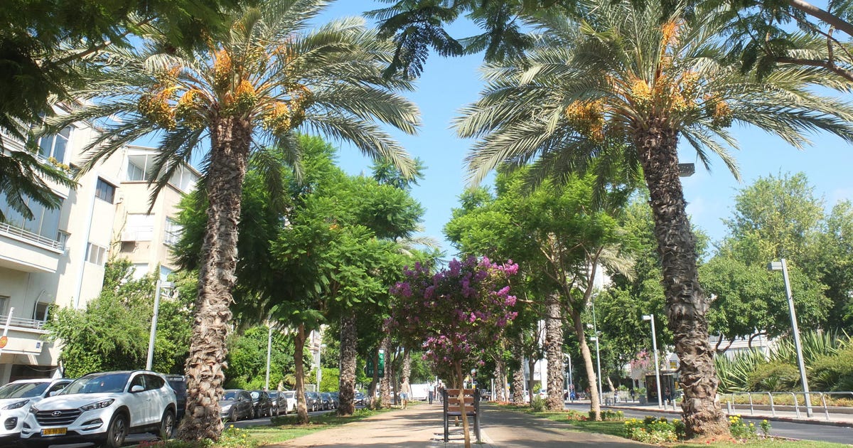 In 1925 Patrick Geddes Was Invited to Israel to Plan the First Hebrew City – What's Left of It Today?