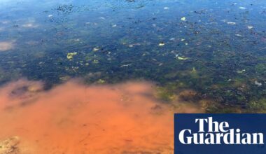 Mystery pink slime on secluded Tasmanian beach prompts fears of potential algal bloom | Tasmania