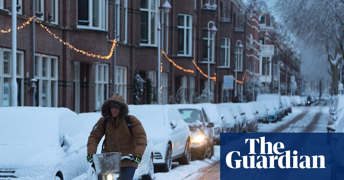 ‘Damage is piling up’: has the Netherlands forgotten how to cope with snow? | Netherlands