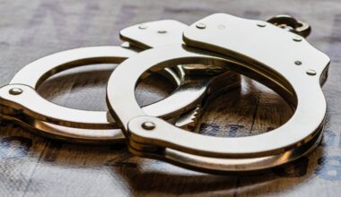 Man claims he heard ‘AI voices’ before murdering his grandmother