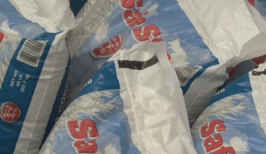 Road salt used to treat icy surfaces can harm environment, experts say