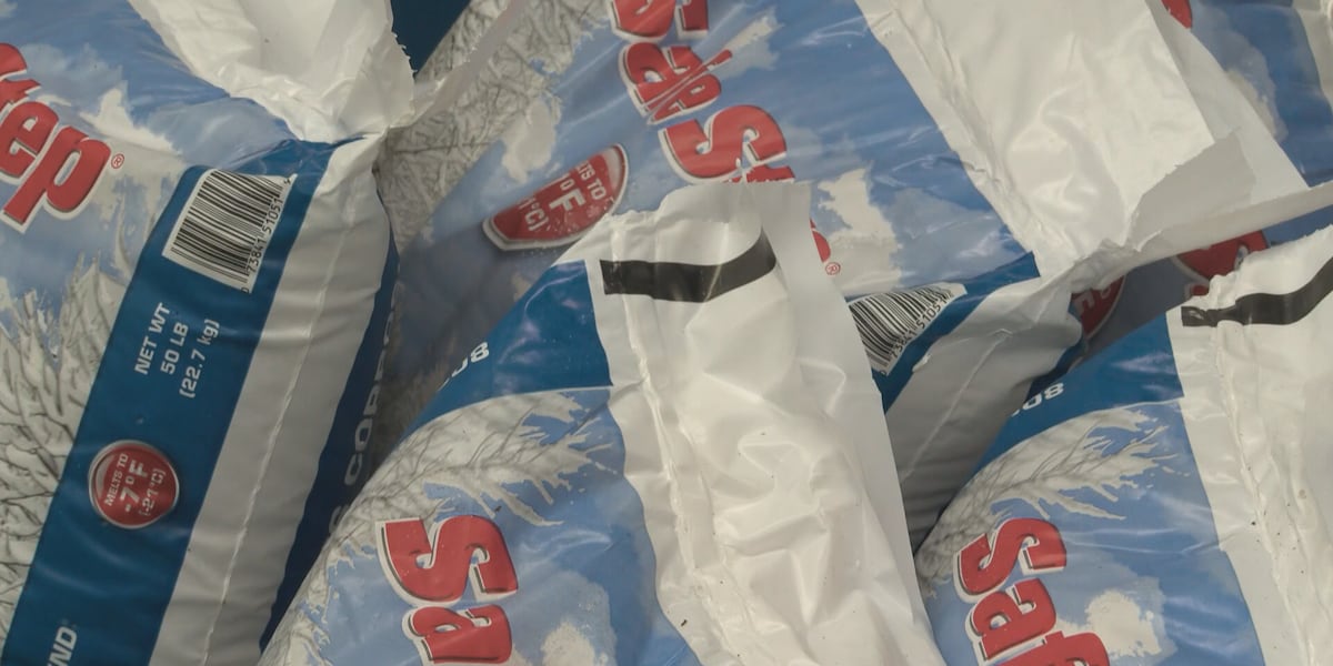 Road salt used to treat icy surfaces can harm environment, experts say