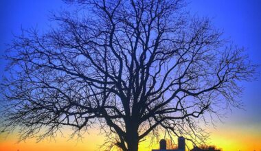 With climate change, we must reject distractions of fatalism and denialism [column] | Local Voices