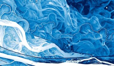 [OC] Relative Elevation Model of the Danube Floodplains (Austria)