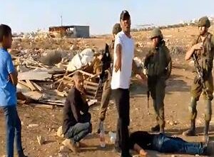 Colonists attack al-Ma’azi Bedouin community northeast of Jerusalem