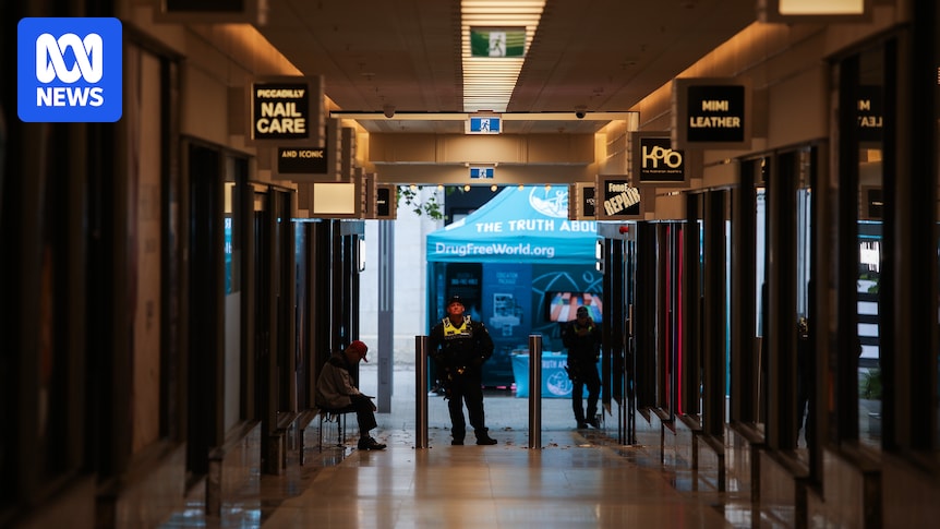 Authorities investigate bomb allegedly thrown into Perth Invasion Day rally crowd as 'potential terrorist act'