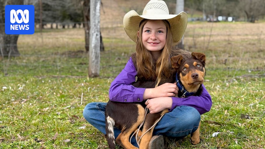 Puppies of Muster Dogs champion find homes with next generation of farmers