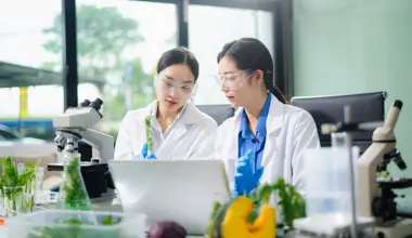 Nutrition Insight logo