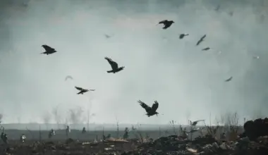 Food Ingredients First logo