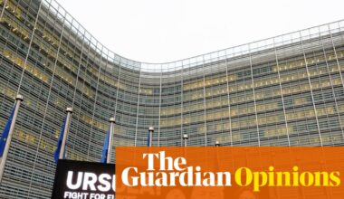 Europe faces a pincer attack from White House ideologues backed by Silicon Valley and its far-right proxies | Armida van Rij