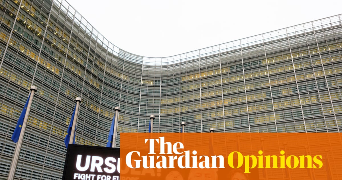 Europe faces a pincer attack from White House ideologues backed by Silicon Valley and its far-right proxies | Armida van Rij