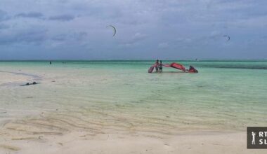 Vse več malarije pri povratnikih s tropskih območij