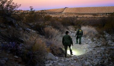 Border crossings are down, but migrants' skeletal remains still dot Southern New Mexico desert | Local News