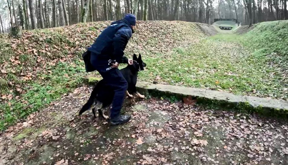 17 policyjnych czworonogów szkoleniem zakończyło miniony rok - Aktualności