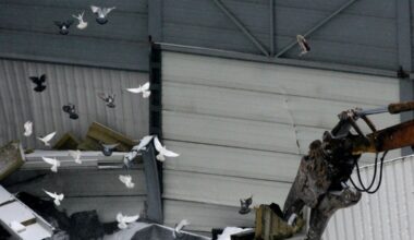 On 28 January 2026, Poland marks the 20th anniversary of the collapse of the roof of the largest pavilion at the Katowice International Fair in southern Poland, which occurred during a national pigeon exhibition, killing 65 people and injuring more than 140 in the countrys deadliest structural disaster.