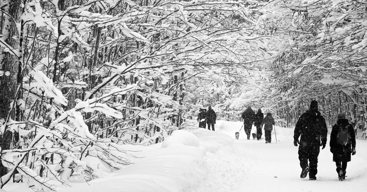 COLUMNIST: It pays to watch one’s step in nature and geopolitics | Opinion