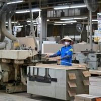 Vietnam shrugs off Trump tariffs as US exports surge | National