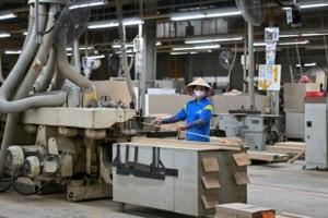 Fox 11 Tri Cities Fox 41 Yakima