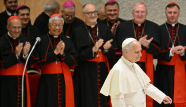 how cardinals viewed Leo XIV’s first gathering