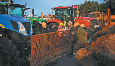 Europe's farmers march against EU's deal with South American trade bloc