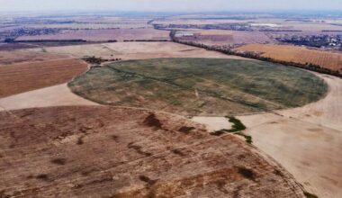 Climate change will devastate crop yields