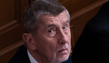 Babis govt wins vote of confidence in Czech lower house