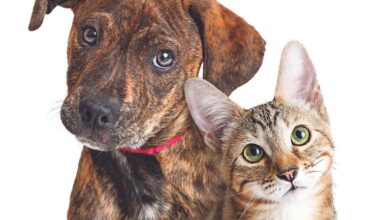 Good Times | Entertainment in Citrus County