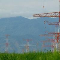 Ecuador, Colombia ramp up trade war with tit-for-tat energy levies | National News