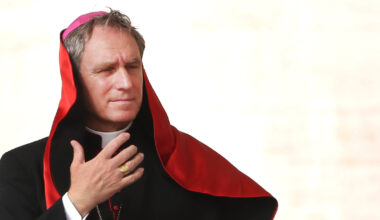 Archbishop Gänswein reflects on Pope Leo's pontificate