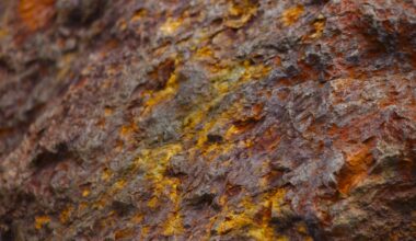 ATHA Energy: Canada's Premier Uranium Explorer Positioned for Unprecedented Growth - Article