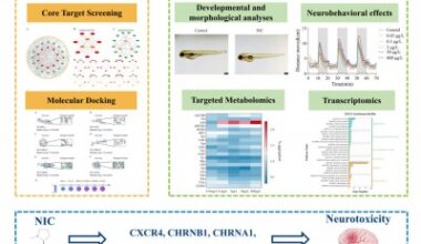 Unlocking the neurotoxic code of environmental nicotine in developing zebrafish