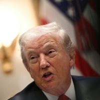 Trump says Putin agrees to pause Kyiv strikes amid harsh cold | National