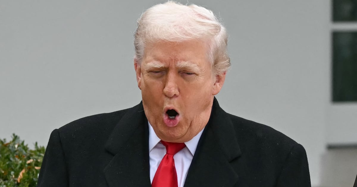 Bird-Brained Donald Trump, 79, Still Can’t Recognize a Bald Eagle