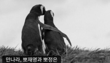 Pororo pops up in Lee's message to North Korea